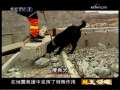 感天动地 感天动地 第5集 科技神威