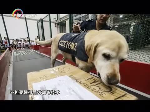 情暖人间 《情暖人间》 20151130 筑梦云南影像志 李树荣和他的特殊战友