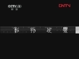 动物世界 《动物世界》 20120212