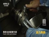 远方的家 《远方的家》 一带一路（411）乌克兰 田野里的希望  20180807