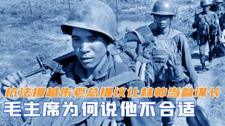 趣谈古今事 抗法援越，朱老总提议让林帅当参谋长，毛主席为何说不合适