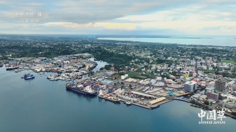 《中国草》 第3集 走进春天