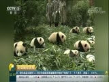 环球经济连线 《环球财经连线》 20171014