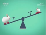 小小智慧树 《小小智慧树》 20180228