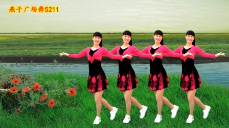 开车必备DJ《马樱花情歌》广场舞，让爱去陶醉