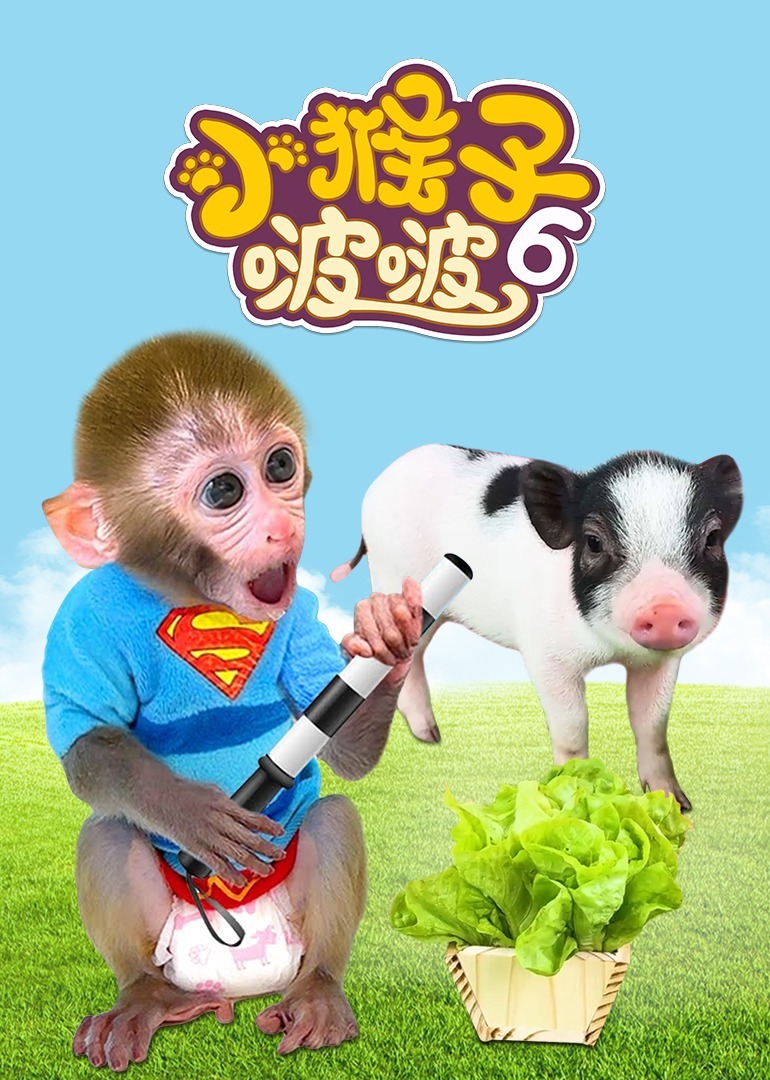 小猴子啵啵  第六季