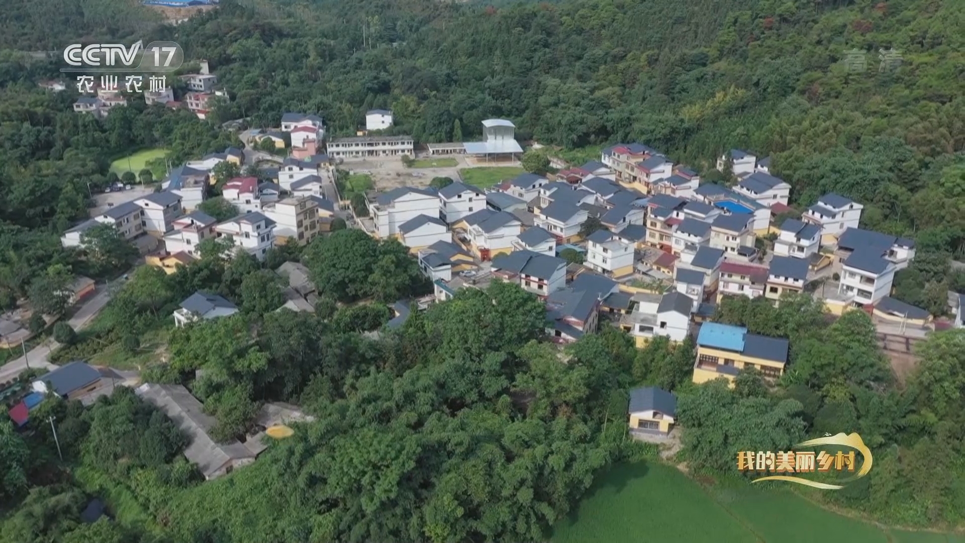 《我的美丽乡村》 20211125 西山村的小康密码