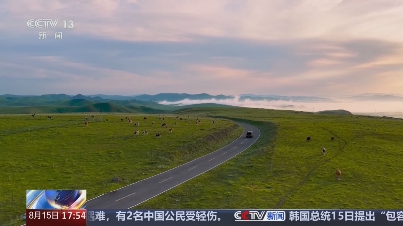 新闻直播间 《新闻直播间》 20260815 17:00