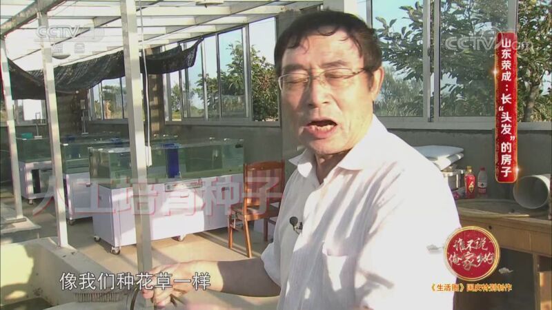 生活圈 《生活圈》 20201002