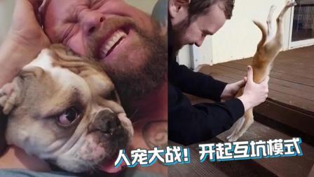 人宠大战 双方开启互坑模式