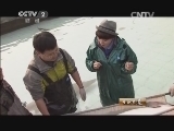 生财有道 《生财有道》 20150105 鲟鱼大亨的鱼子酱梦