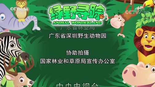 绿野寻踪 《绿野寻踪》 20190525