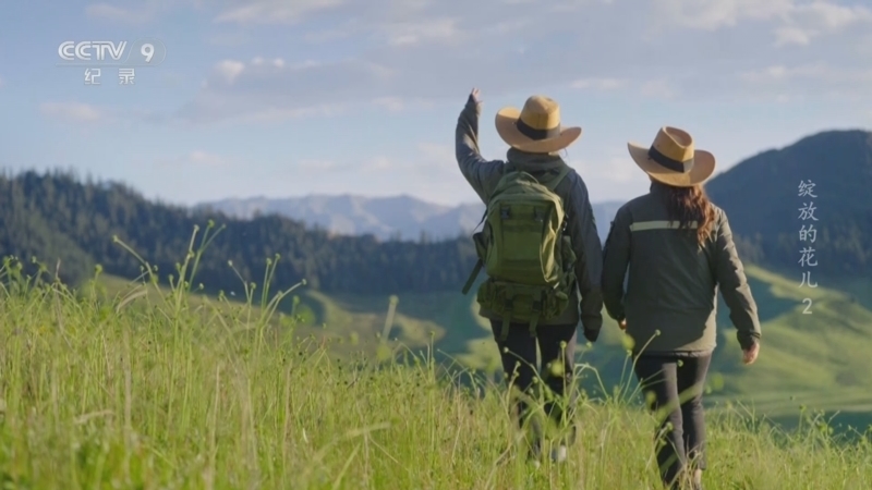 《绽放的花儿》 第2集 守望