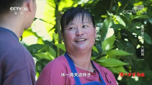 味道 《味道》 20191207 我的家乡菜·大鹏篇（一）