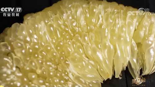 致富经 《致富经》 20200827 青色柚子 甜蜜财富