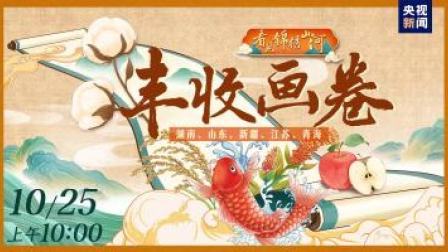 看见锦绣山河——丰收画卷