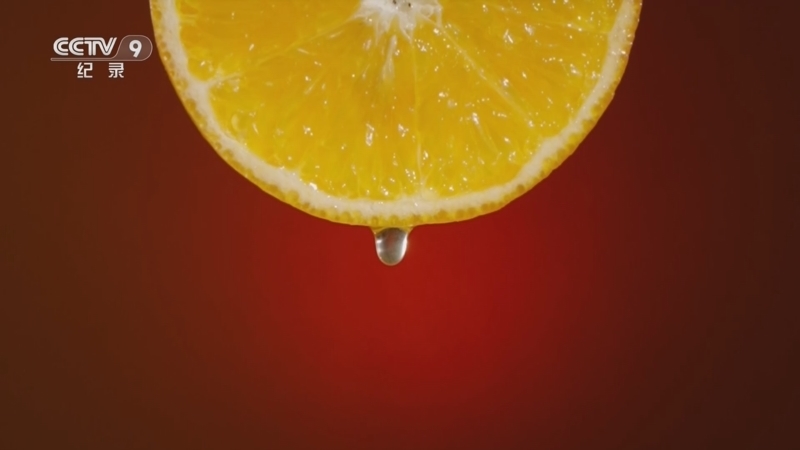 《甜美广西》 第2集 繁盛枝头