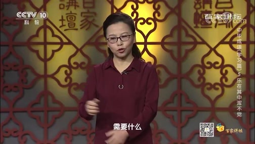 百家讲坛 《百家讲坛》 20200413 中华成语（学习篇） 5 乐在其中浑不觉