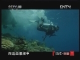 地理中国 《地理中国》 20121003 系列节目《寻奇天下》——海洋奇观