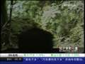 经济信息联播 个人自由行游客今天下午抵日