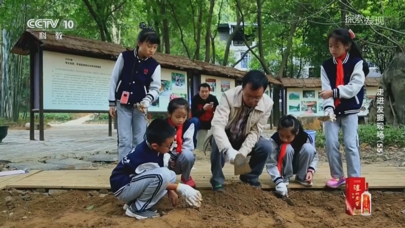 《探索·发现》 20260601 走进发掘现场（55）