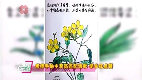 西安老师手绘中草药配诗歌 学生点赞此创意！