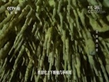 地理中国 《地理中国》 20170820 水下谜团·变味黑白泉