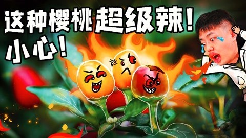 2022XFun吃货俱乐部 小心！这种樱桃超级辣！