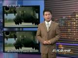 防务新观察 美国售日无人机 亚太上空鹰眼多