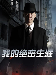 我的绝密生涯40集版