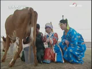 智慧树 智慧树周末版 2008年 第258期