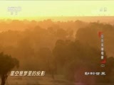 动物世界 《动物世界》 20170913 草原英雄母亲（二）
