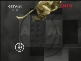 动物世界 《动物世界》 20120301