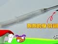狗狗日记 第175天 晶片注射