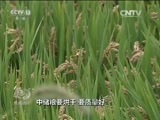 焦点访谈 《焦点访谈》 20161205 土地制度改革：激活三农