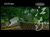 风华国乐 风华国乐 2010年 第256期