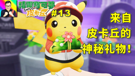 收到来自皮卡丘的神秘礼物！在紫苑镇的幽灵塔里！