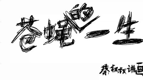 涂鸦动画：苍蝇的一生
