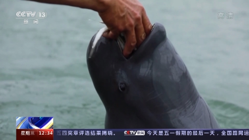 法治在线 《法治在线》 20220504