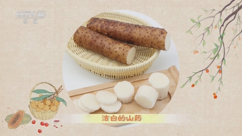 百家讲坛 《百家讲坛》 20240205 舌尖上的养生 5 神仙之食是山药