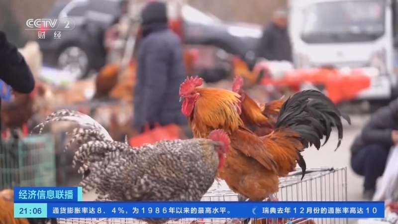 经济信息联播 《经济信息联播》 20230114