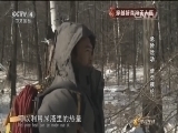 体育在线 《体育在线》 20150604 穿越好森沟无人区