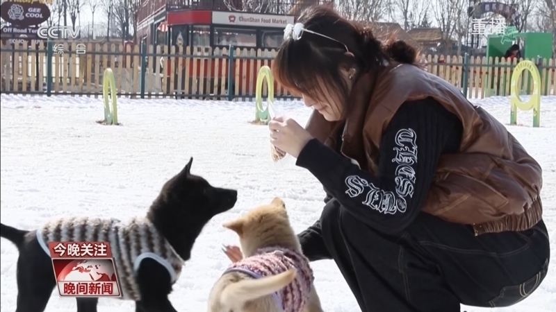 《晚间新闻》 20260222