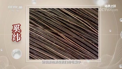健康之路 《健康之路》 20191016 攒足长寿本钱（三）