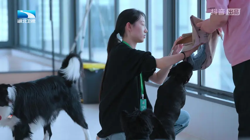 我被有趣的工作包围了 我被有趣的工作包围了 第5期