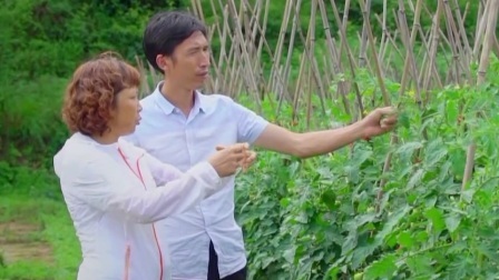 与梦想合拍 “蔬”香溢修文