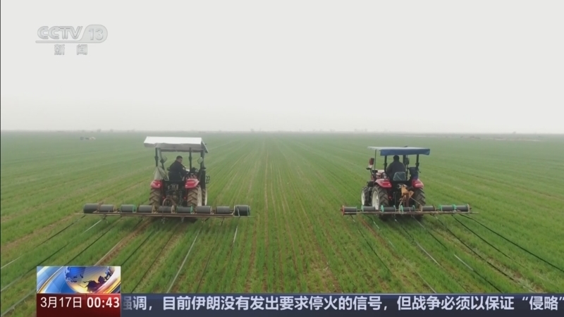 《午夜新闻》 20260317