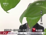 今日说法 《今日说法》 20170419 “失控”的轿车（下）