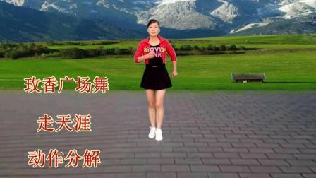 玫香广场舞《走天涯》32步附教学