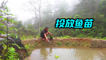 原始丛林人苏门答腊 第二季 东南亚野外生存，精养鱼塘投入捕来的鱼苗，期待会爆坑
